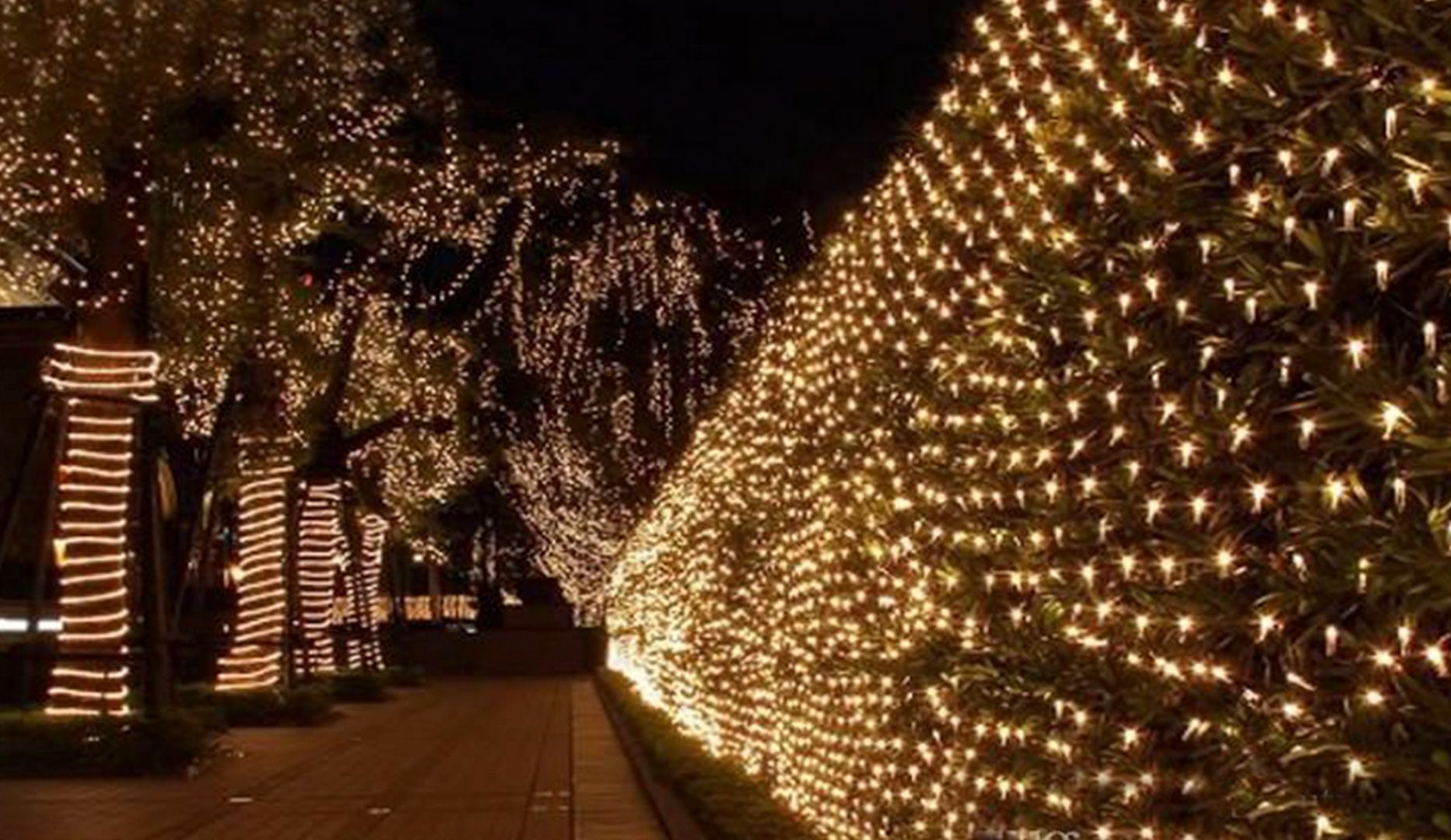 Udendørs julelys med LED - fragt Spis Byen