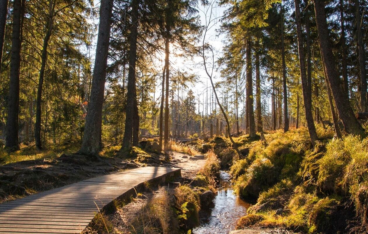 All Inclusive-ferie i Harzen