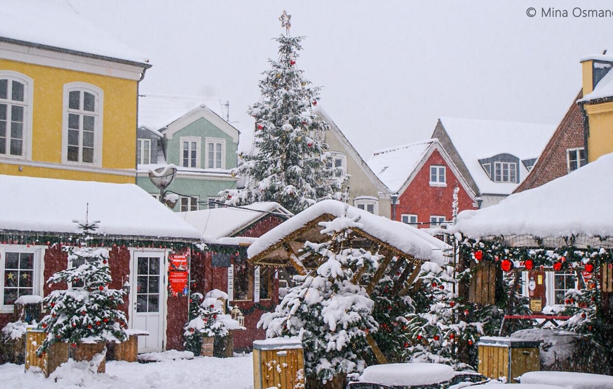 Julestemning og natur i Tønder