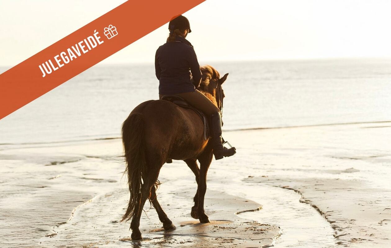 Kommandørgården på Rømø inkl. udflugt til Sild