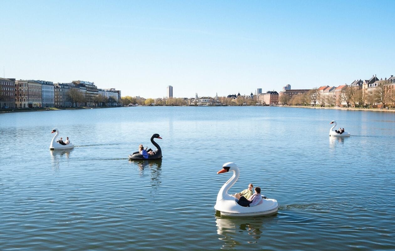 Nyd Sommervejret i en Svanebåd
