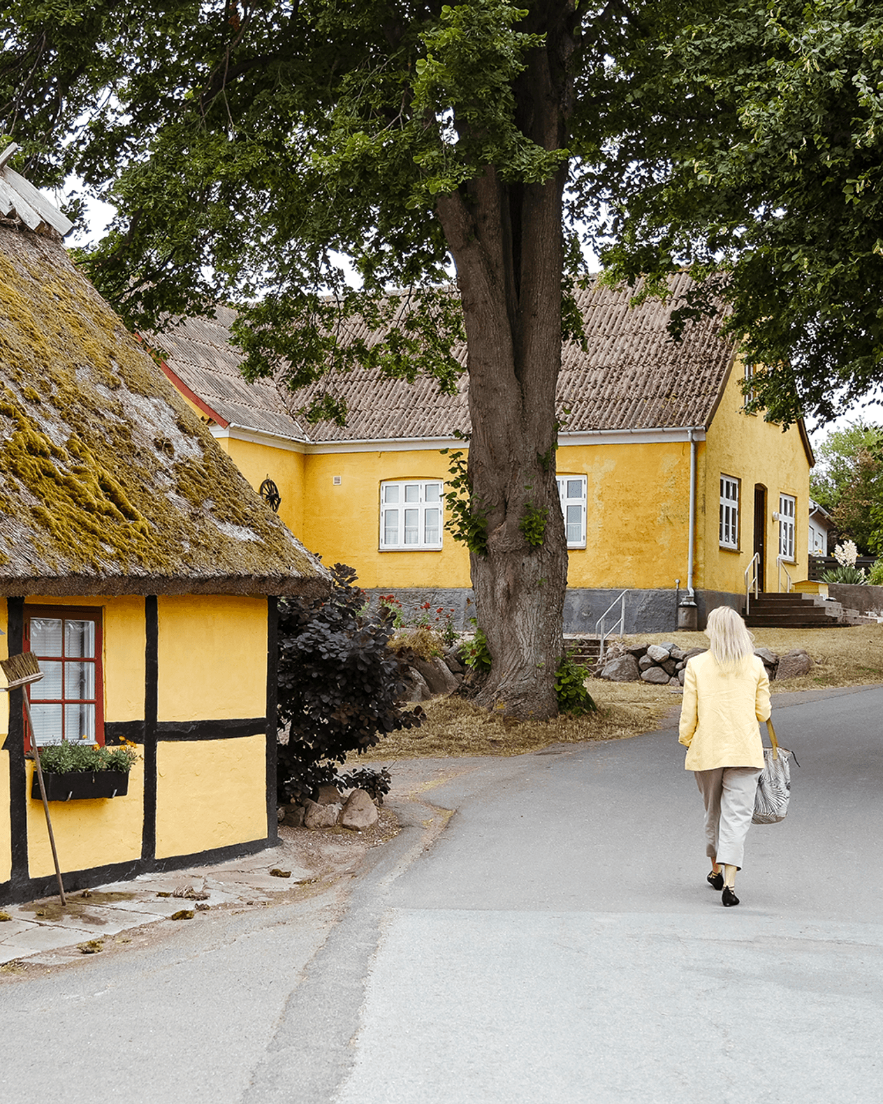 Sommerophold på Agersø Kro billede 1