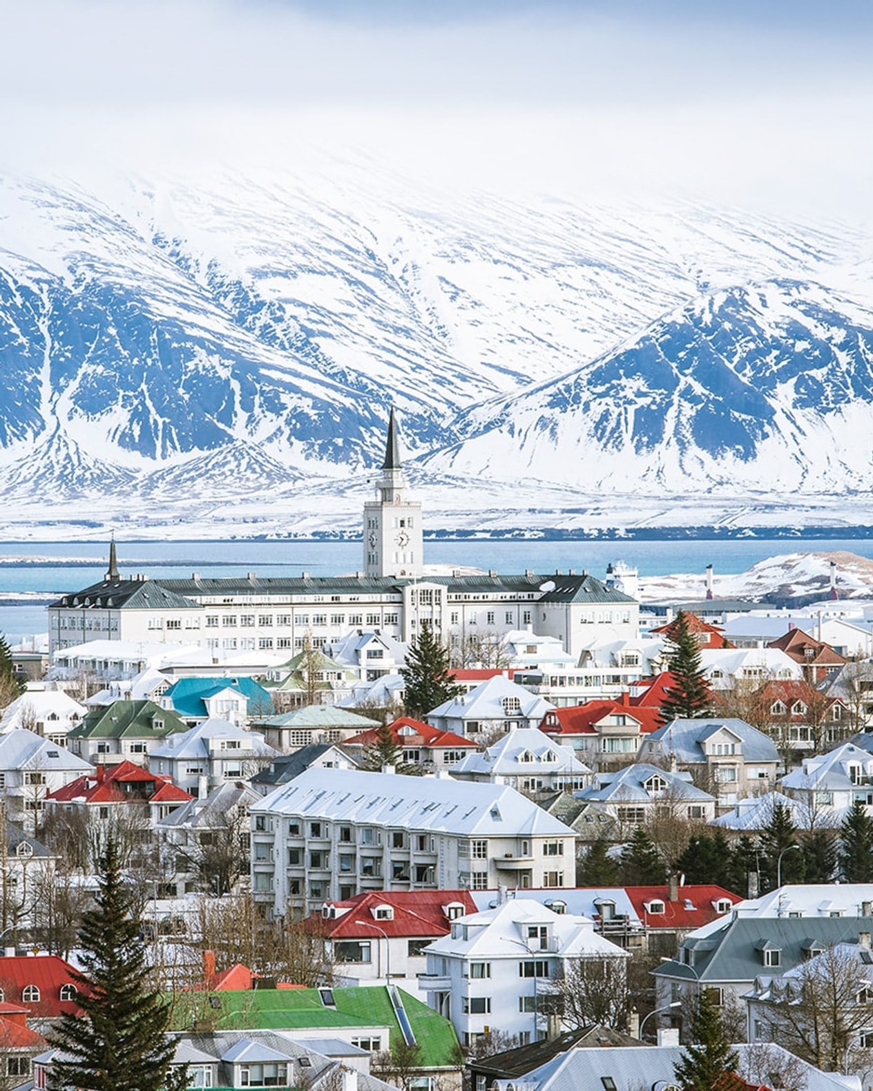 Drømmerejse til Island billede 1