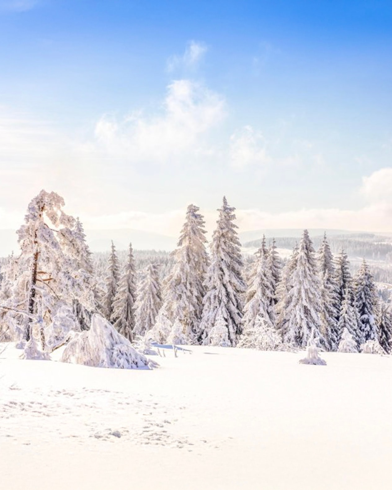 All Inclusive: Hotel Harzöhe | 3 overnatninger billede 1