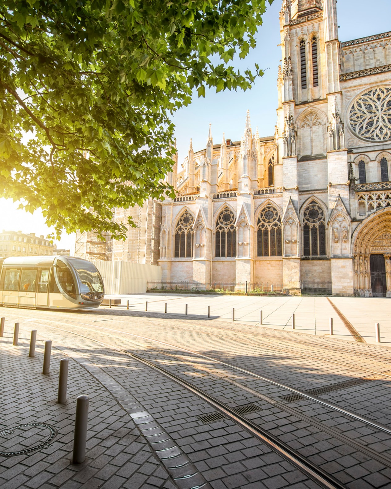 Sommer i charmerende Bordeaux billede 1