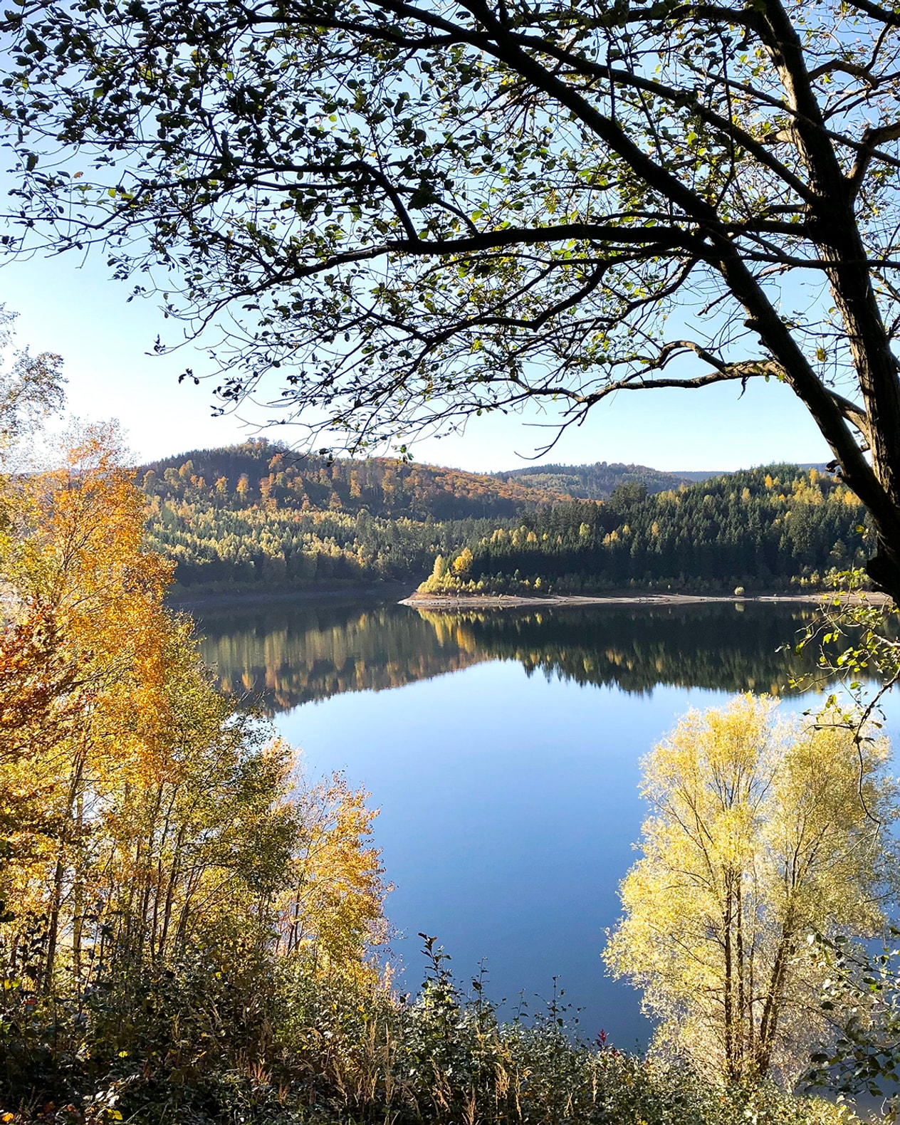 All Inclusive-ferie i Harzen billede 1