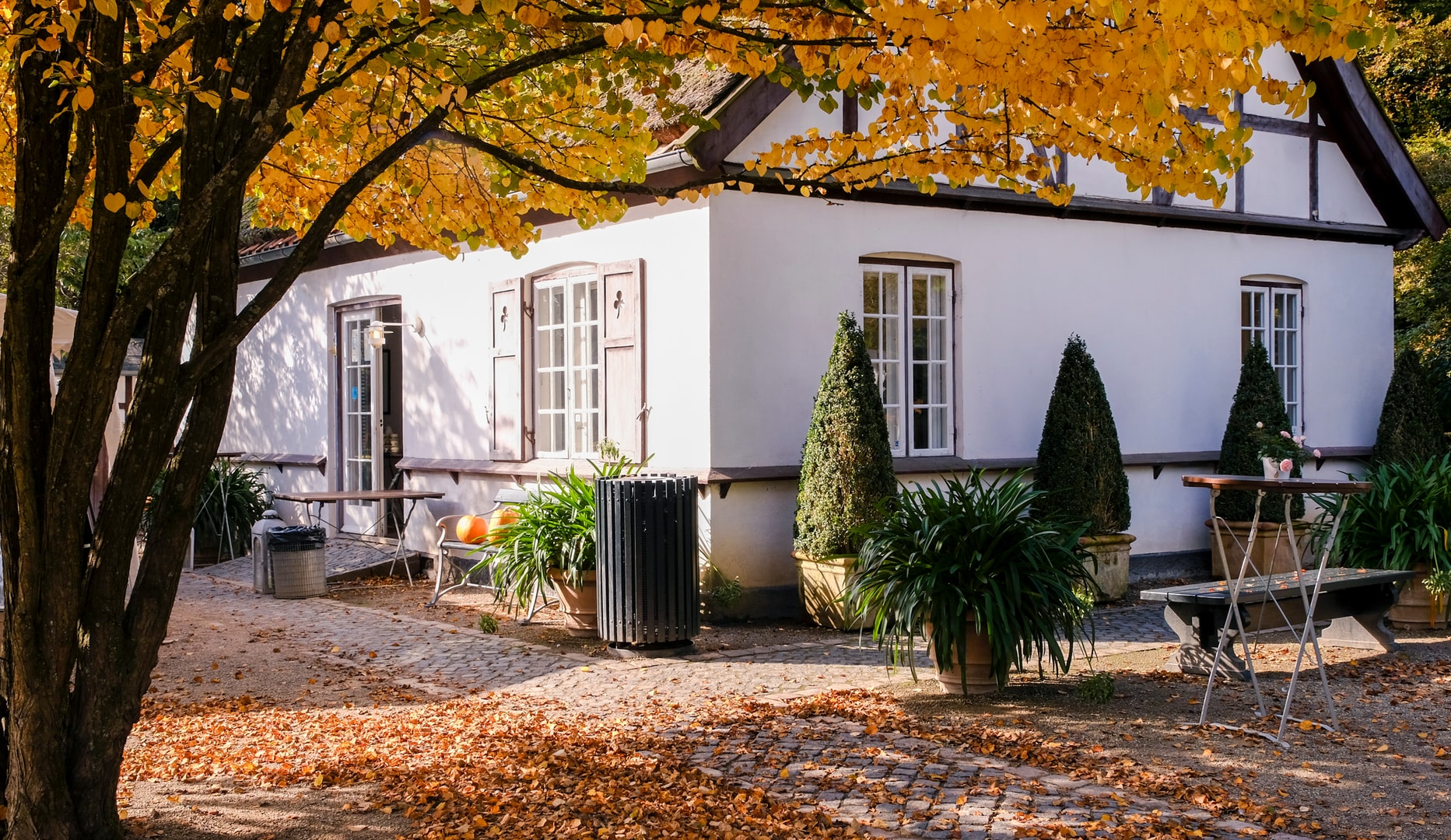 Frokost på Café Havehuset