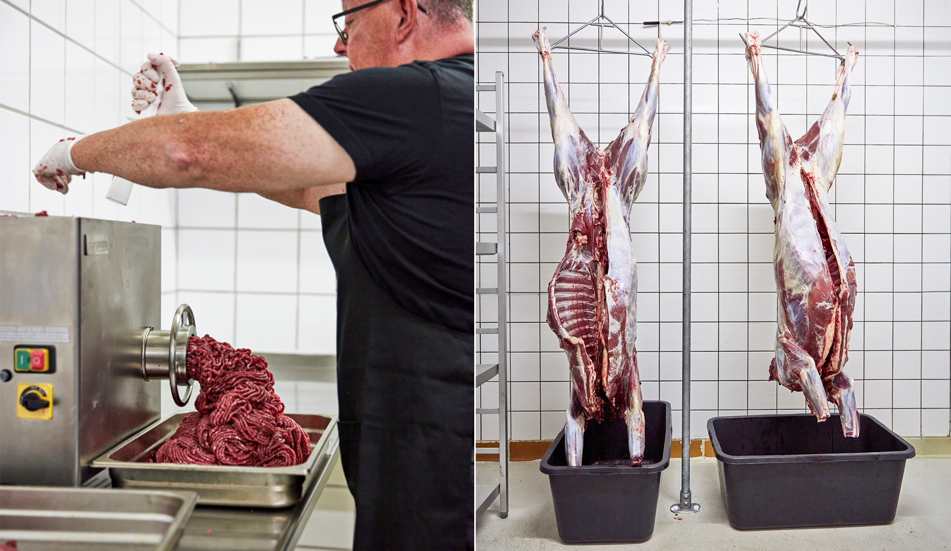 Vild kødpakke med vildtkød - op til 6 kg!