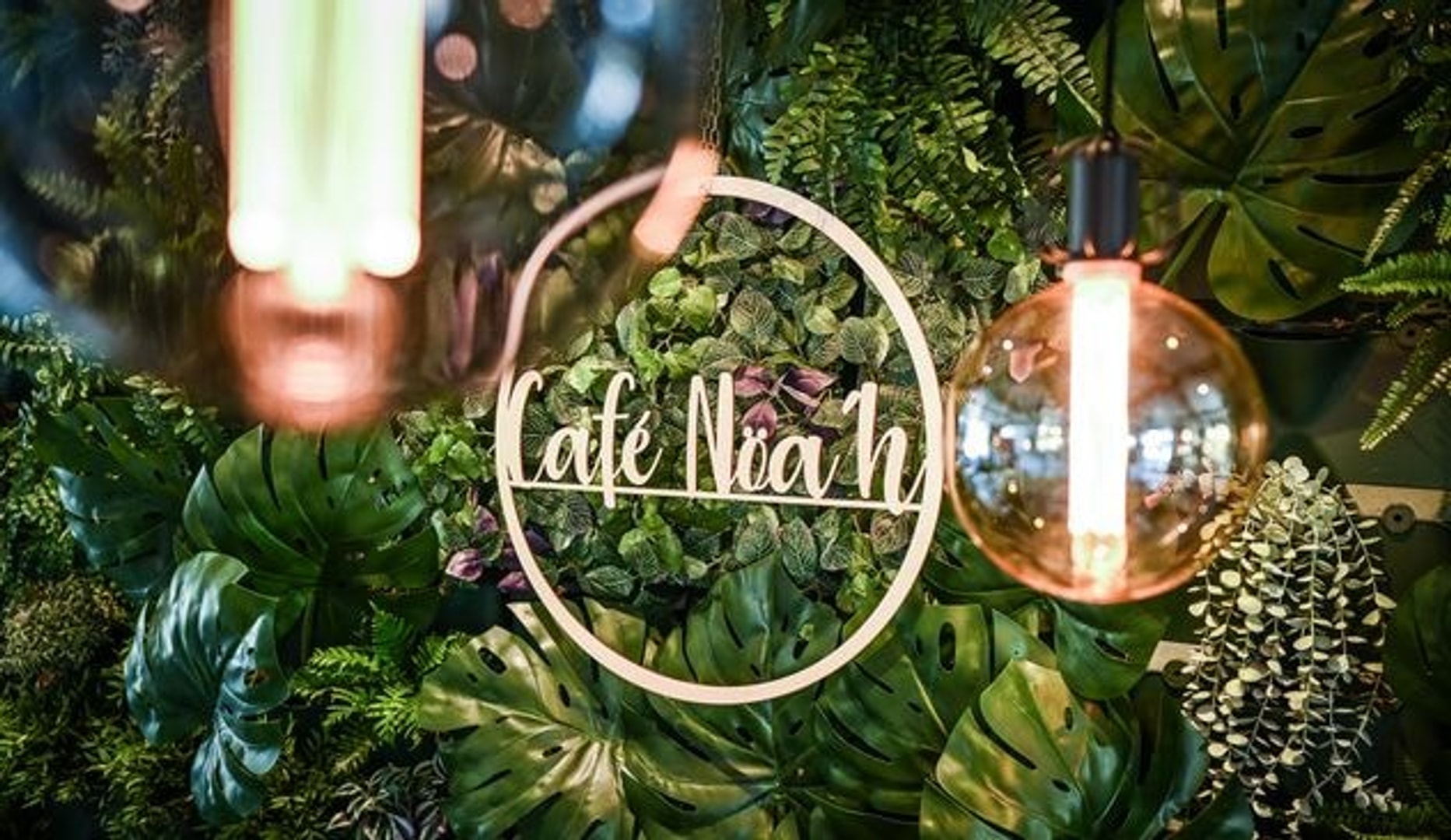 Café Nöah: Børne- og voksenmenuer