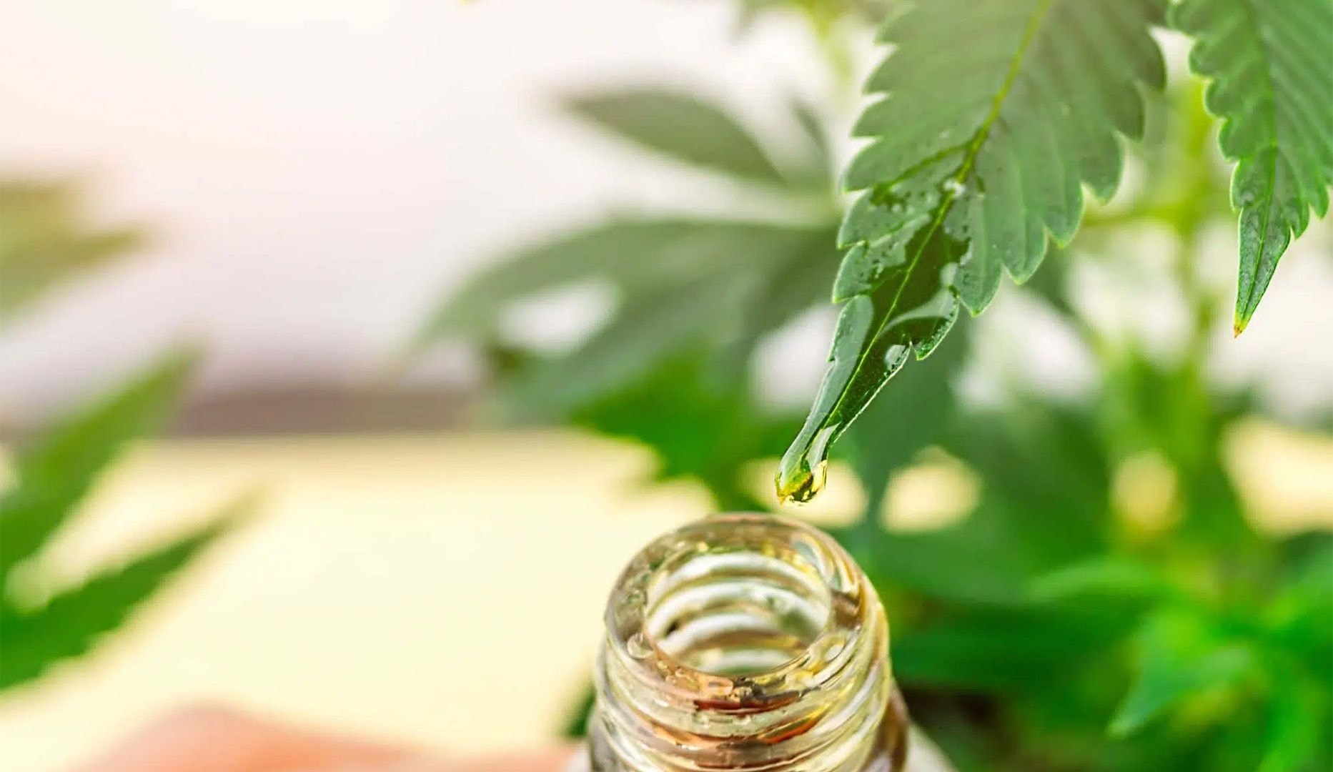 Cannaone CBD-produkter