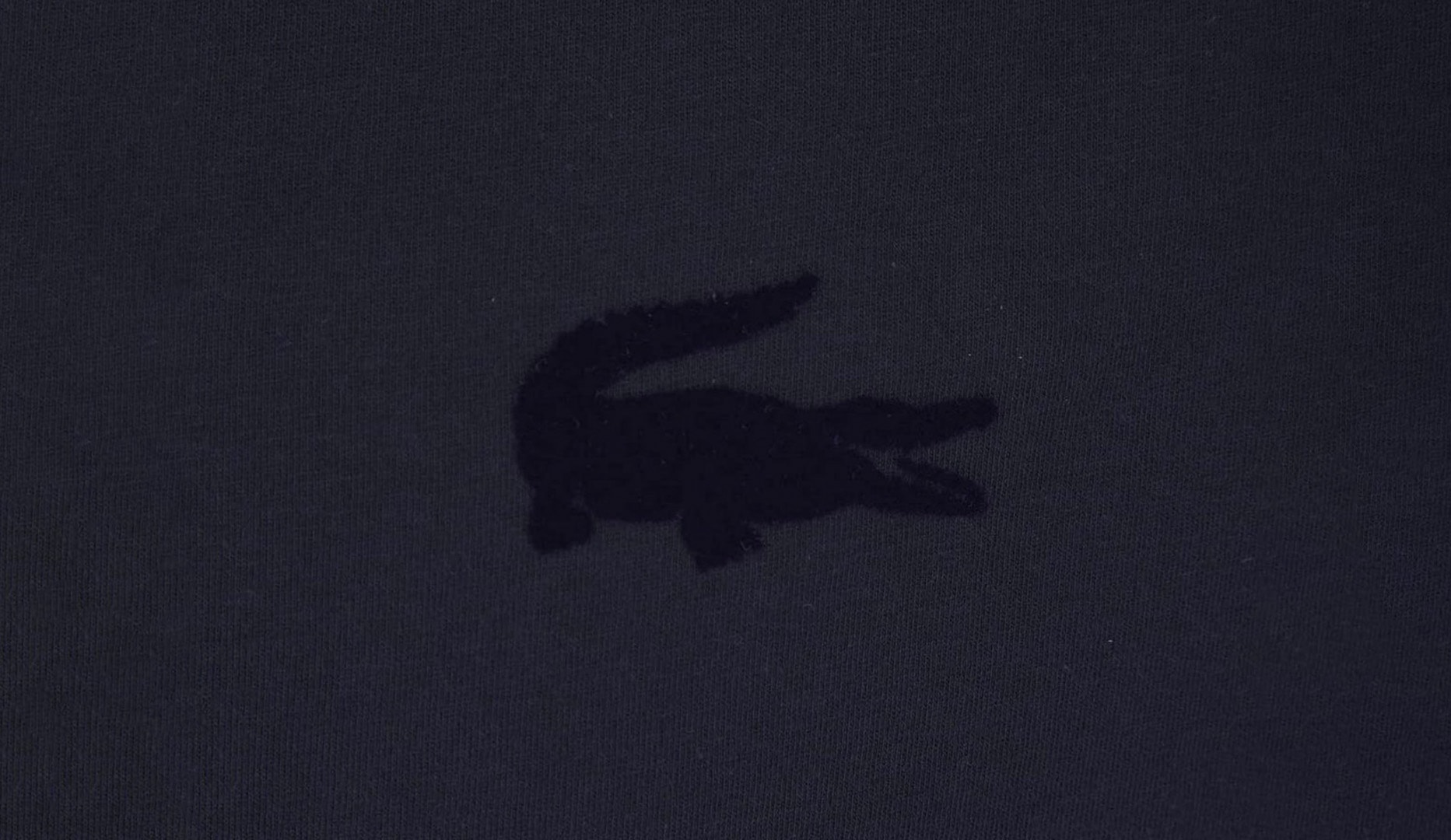 Lacoste t-shirt