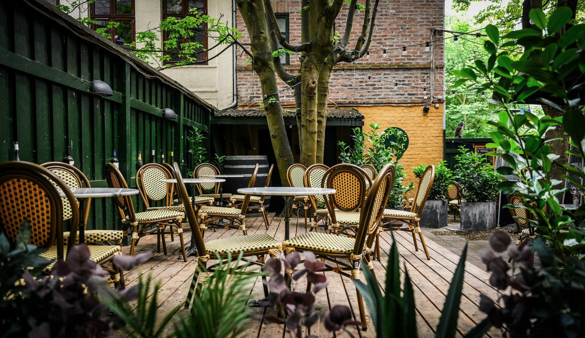Frit valg & halv pris hos Tampa Bar | Frederiksberg