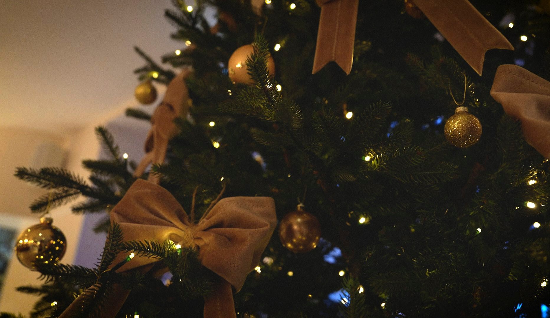 Storslået Julefrokost På Marienlyst