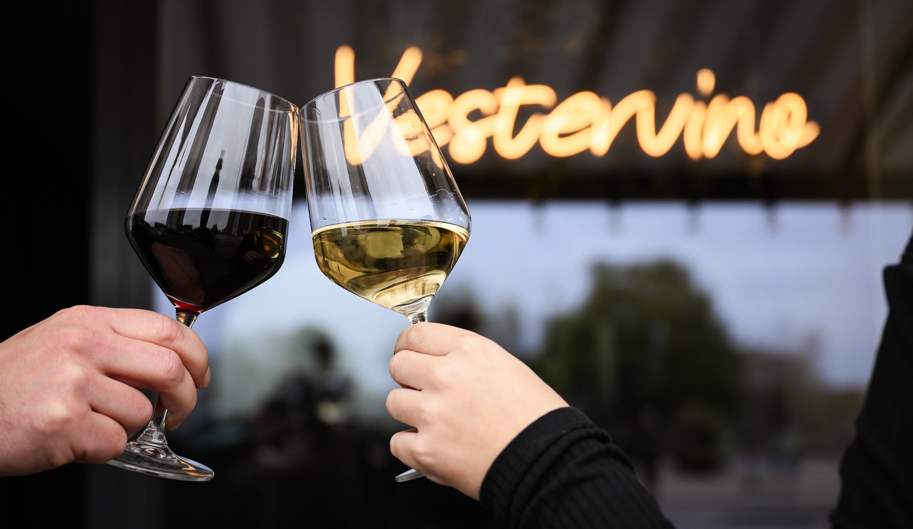 Charcuterie & Vin - Vestervino