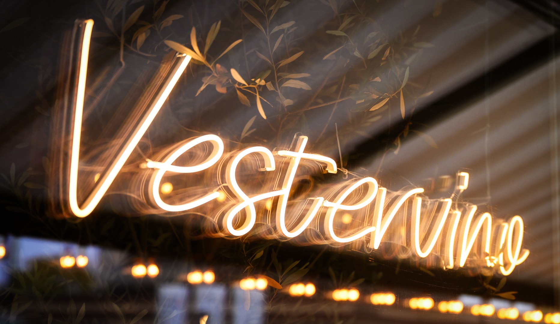 Charcuterie & Vin - Vestervino