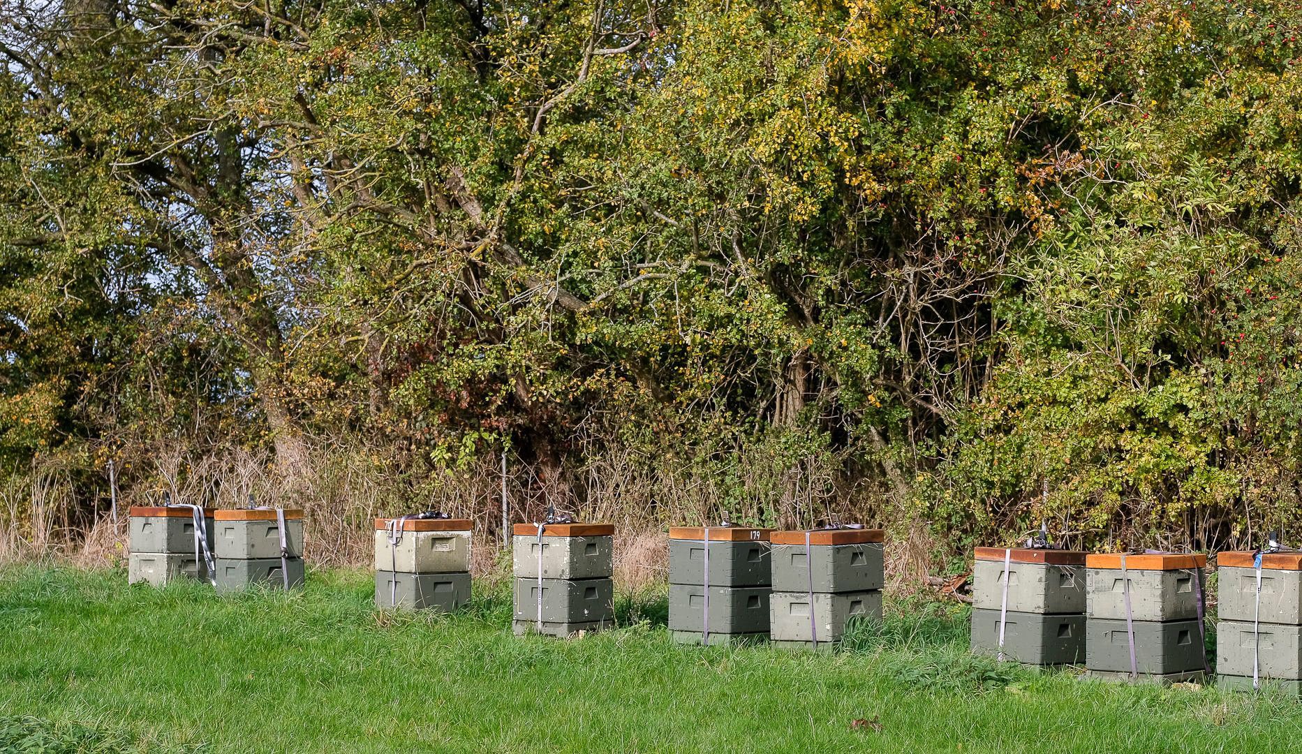 Set på TV: Bageentusiast inviterer til spiritussmagning