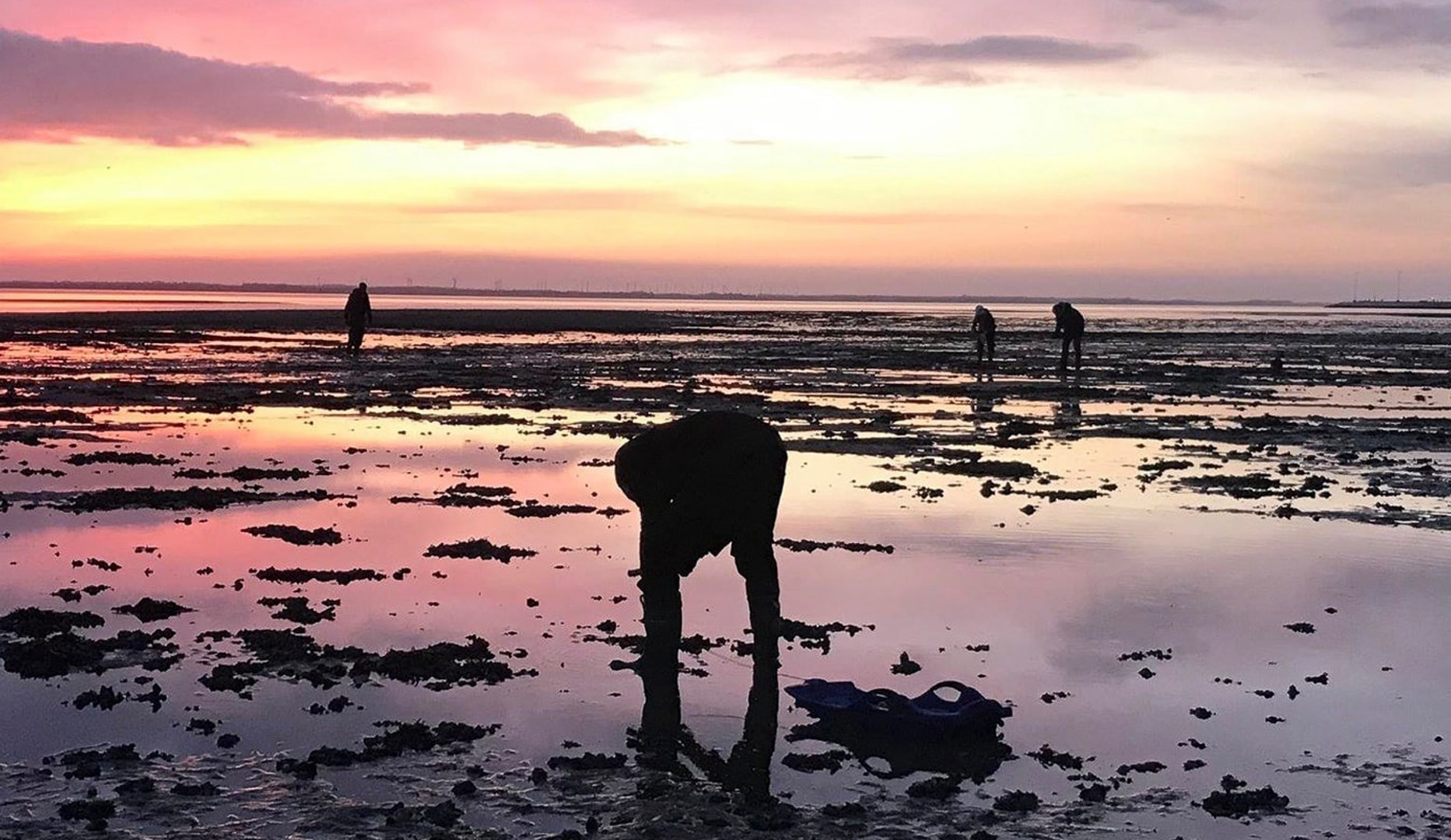 Ophold på Kommandørgården Rømø