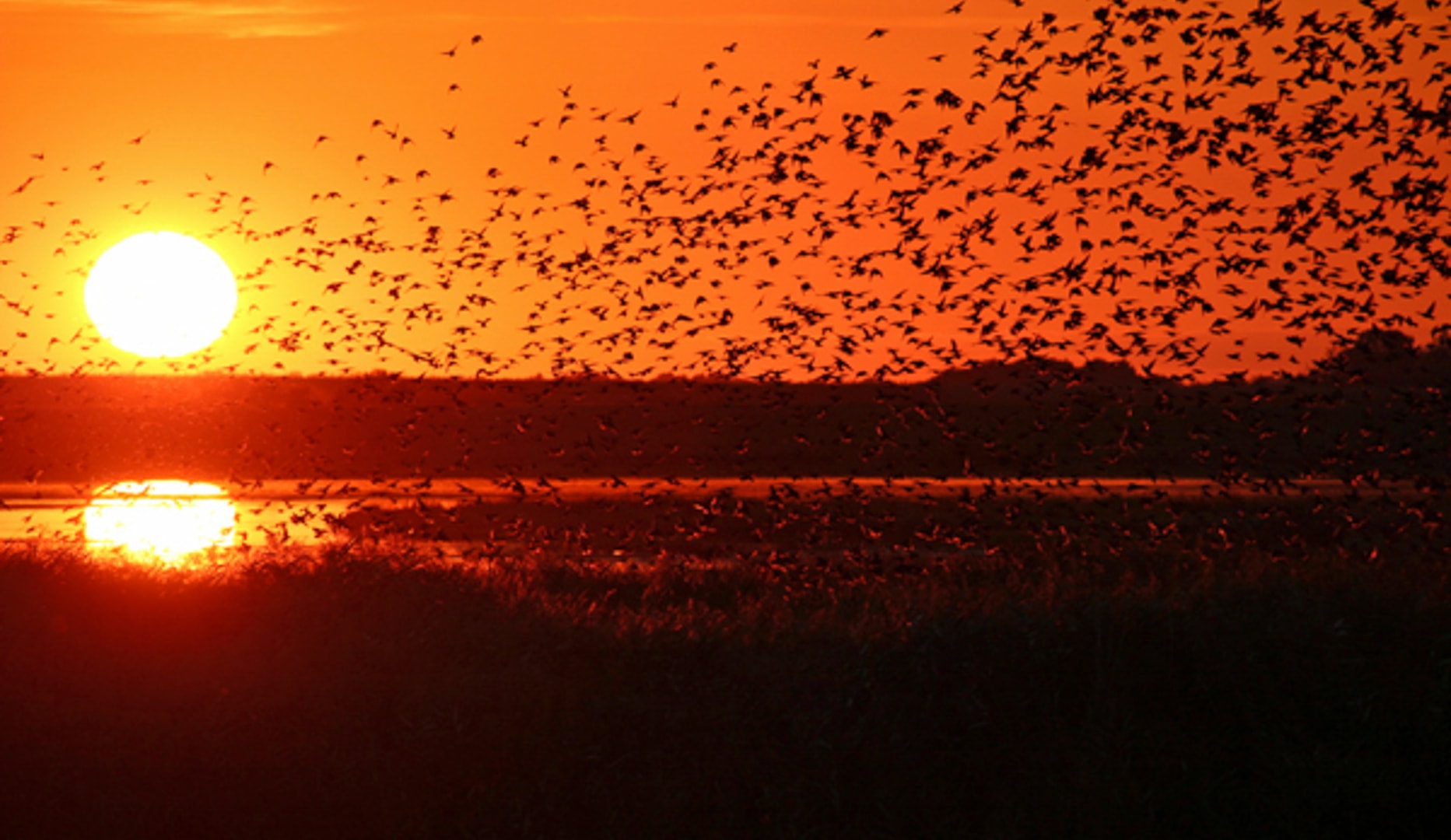Ophold på Kommandørgården Rømø