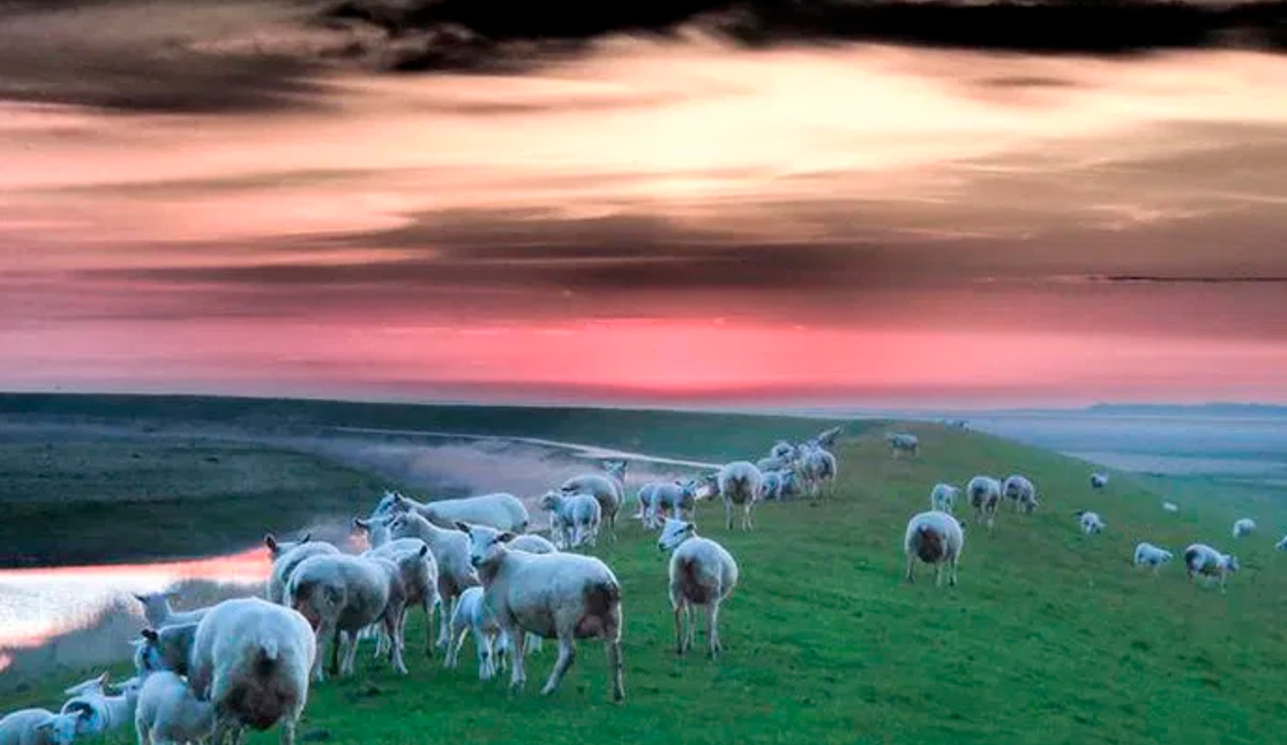 Ophold på Kommandørgården Rømø