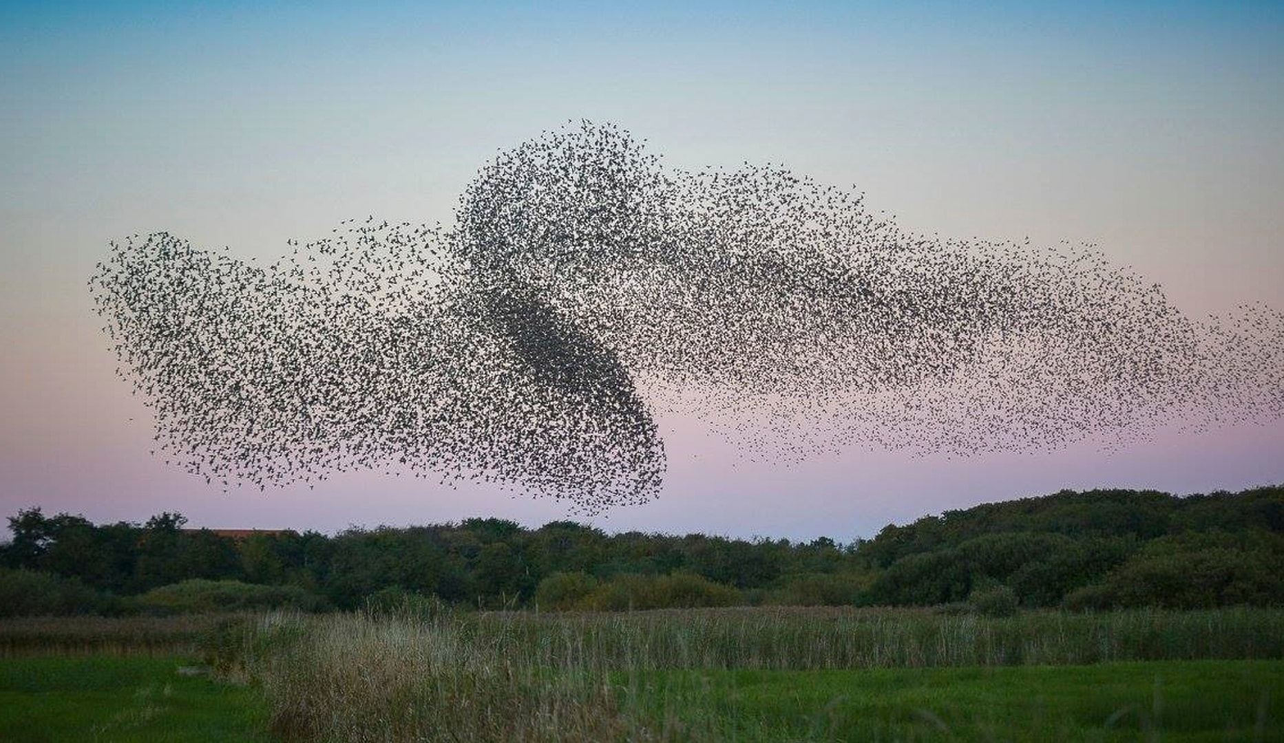 Ophold på Kommandørgården Rømø