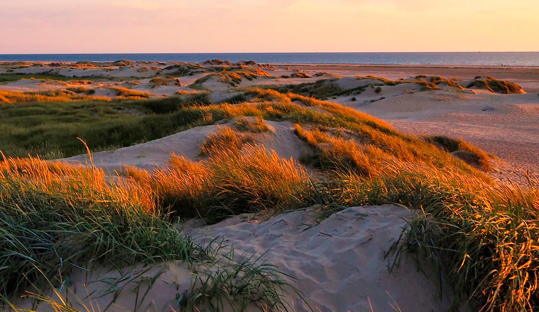 Ophold på Kommandørgården Rømø