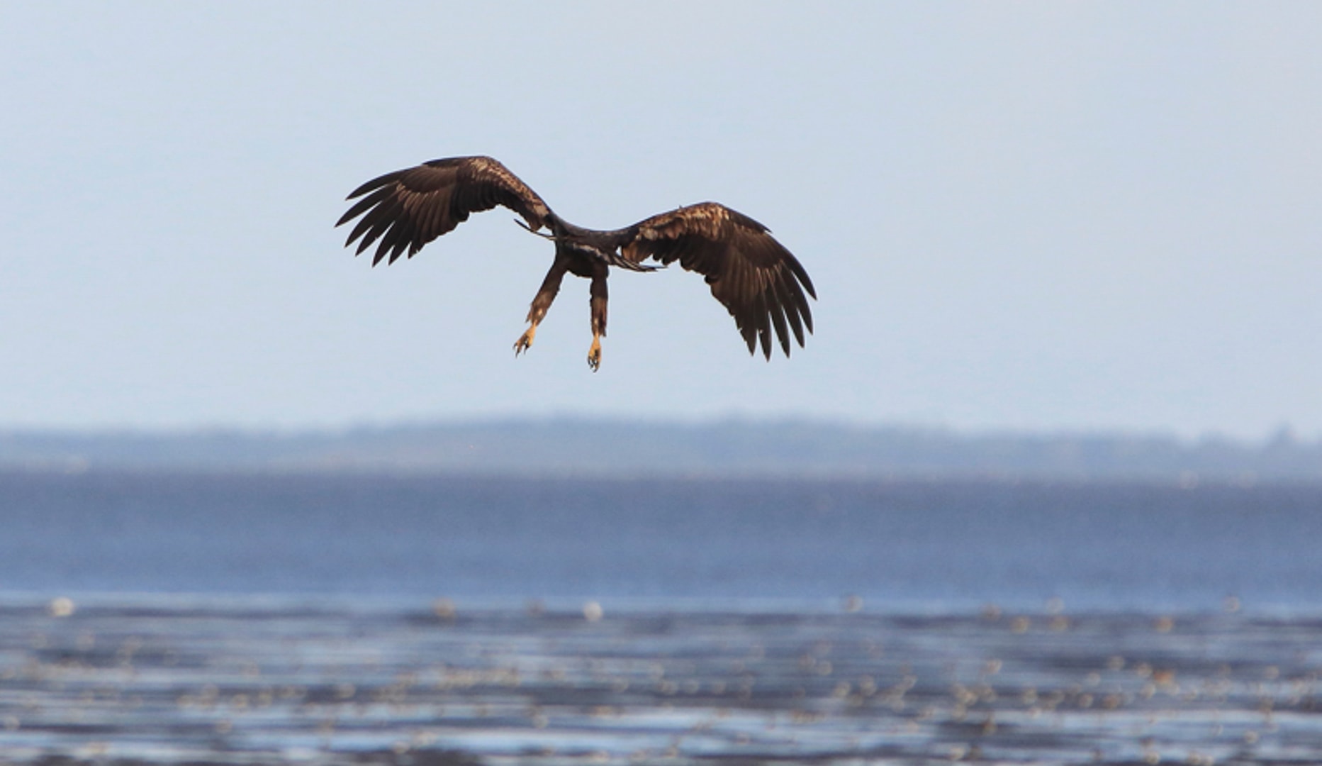 Ophold på Kommandørgården Rømø