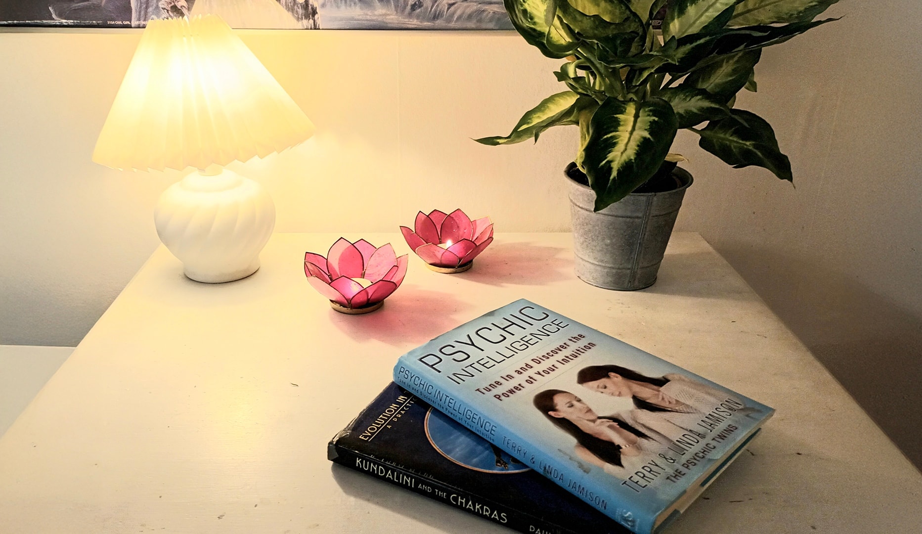 Landsdækkende Clairvoyance