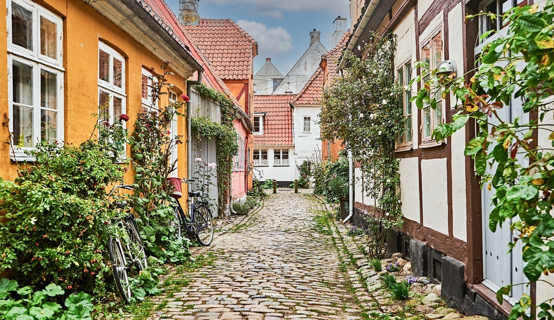 Frokostplatte - Helsingør