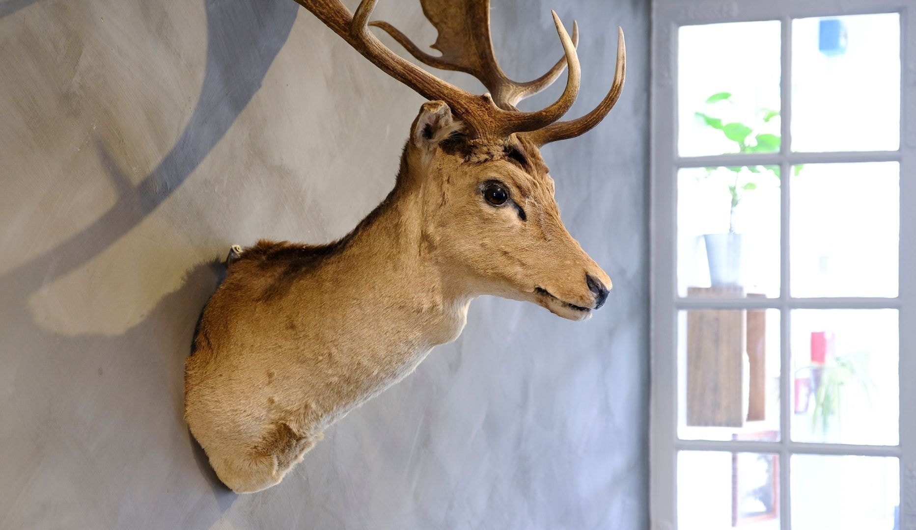 Halv pris på 2 stk. valgfri smørrebrød