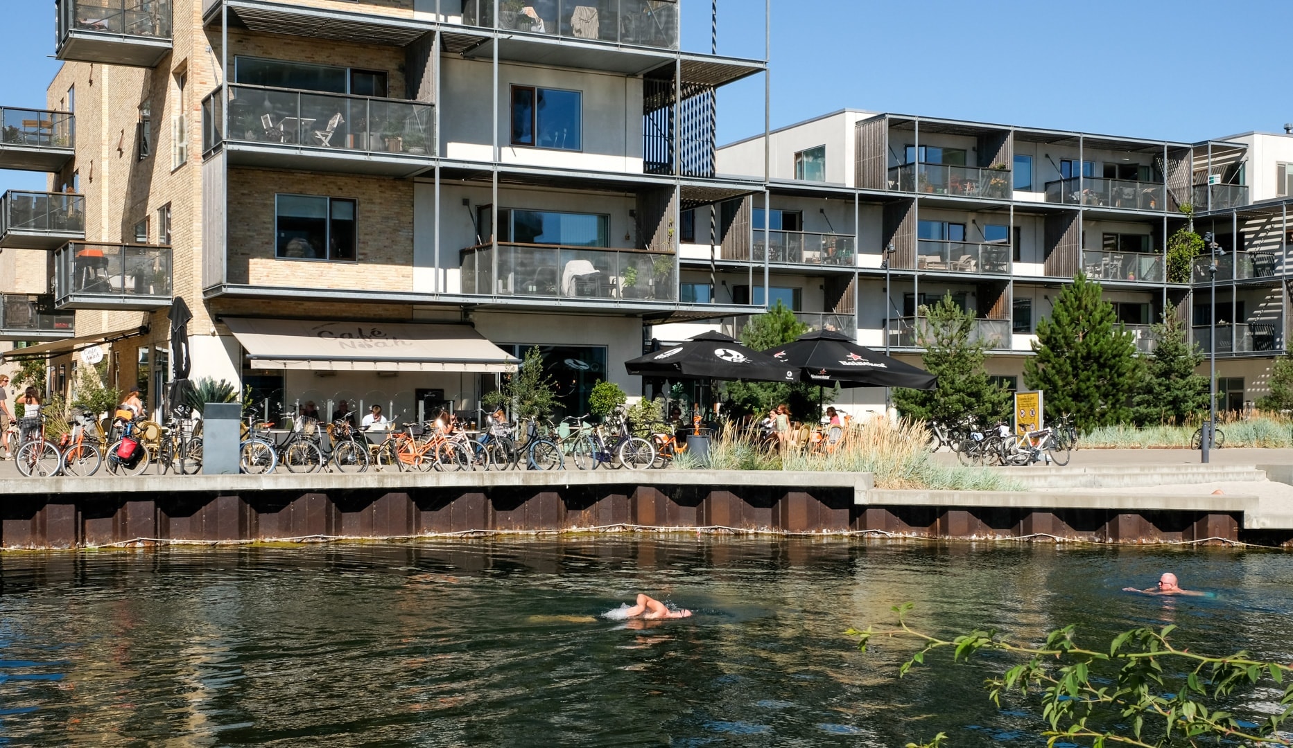 Fish n` Chips / Tartar på Café Nöah