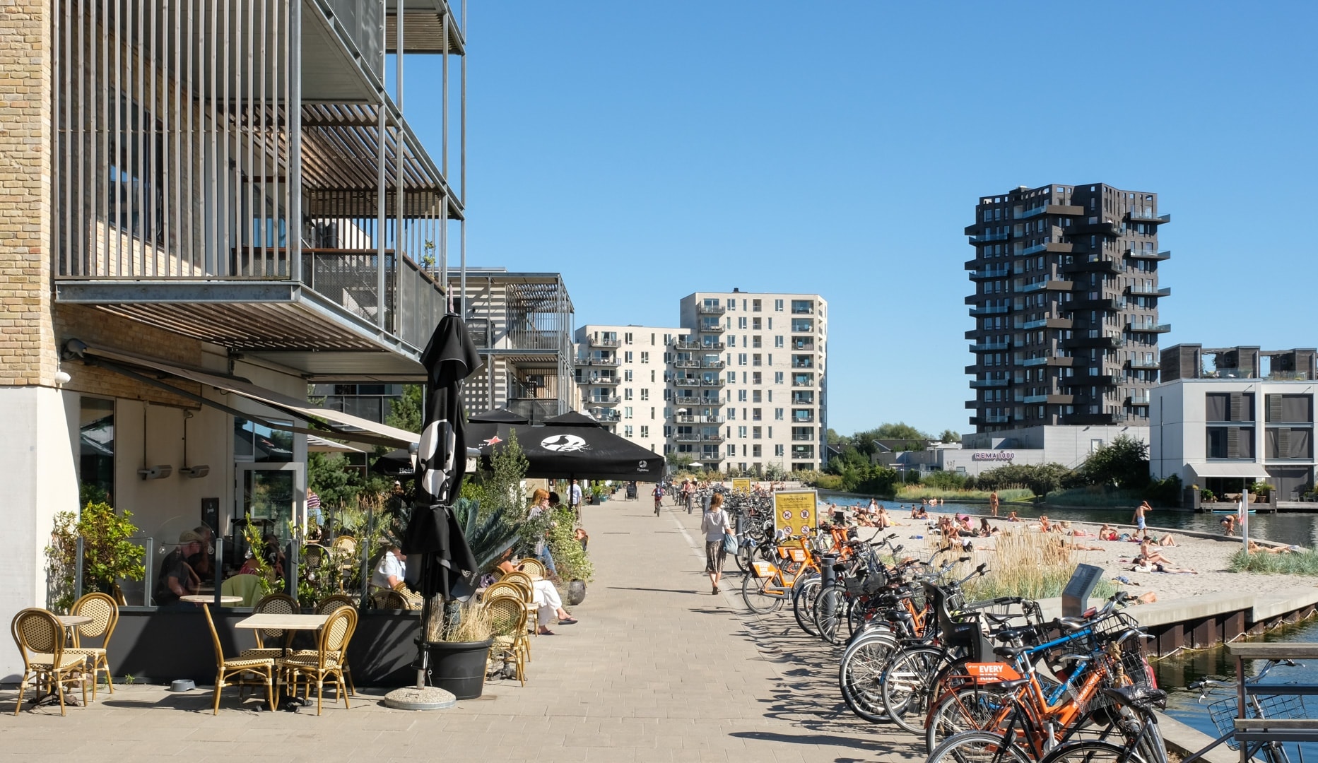 Fish n` Chips / Tartar på Café Nöah