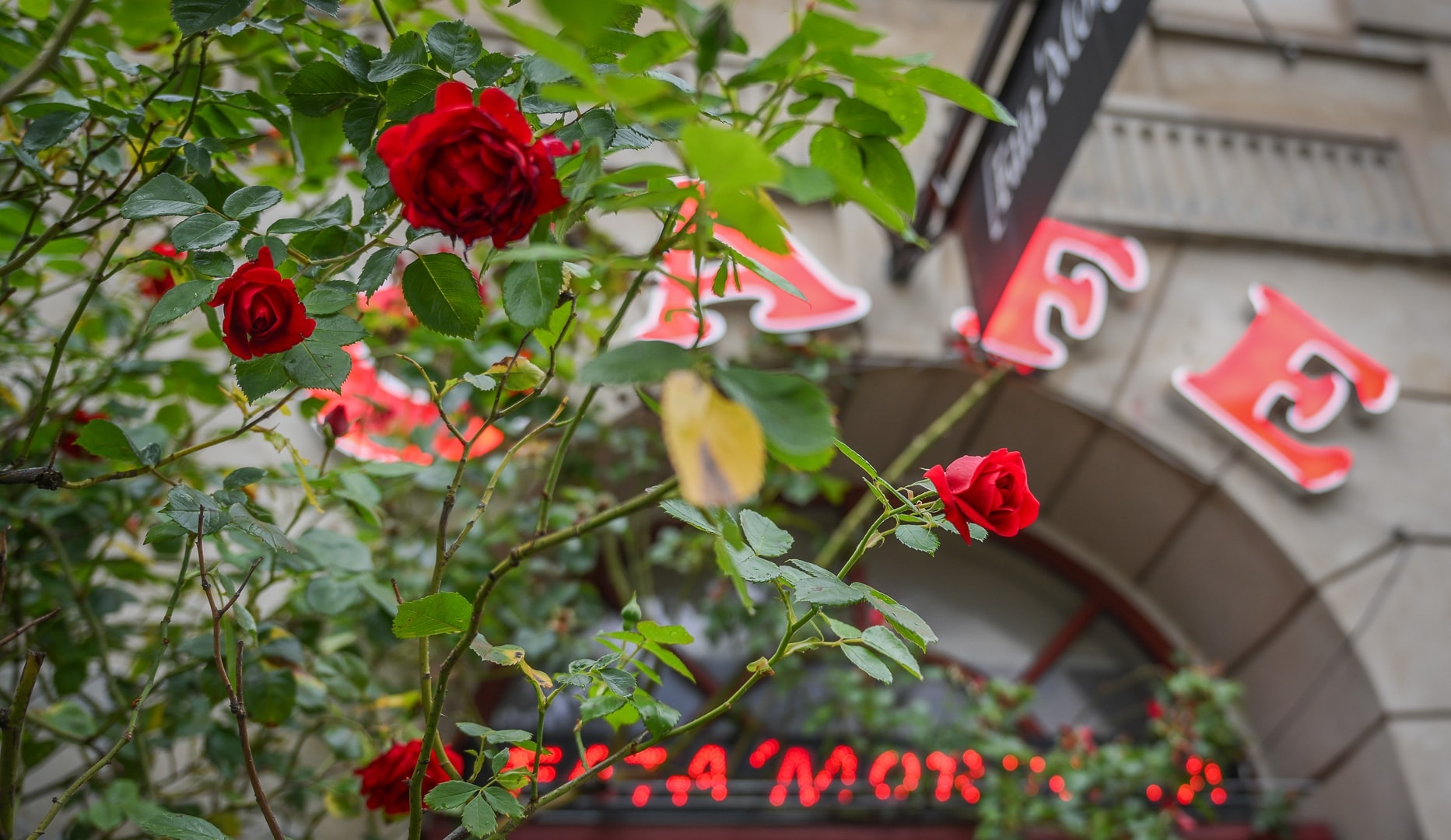 Weekendbrunch hos Café Fatamorgana