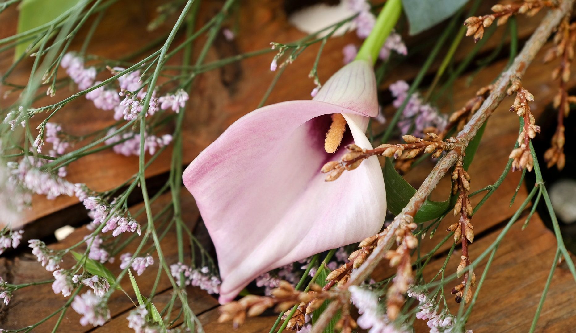 Forårs- og Sommerkurser hos Florie!