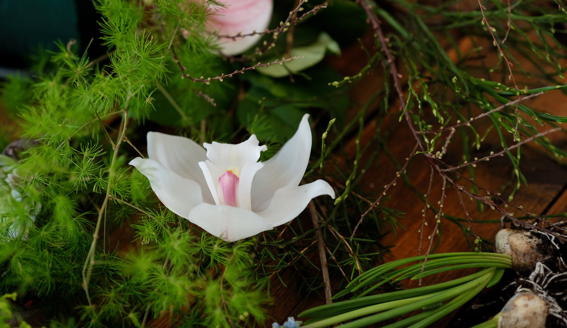 Forårs- og Sommerkurser hos Florie!