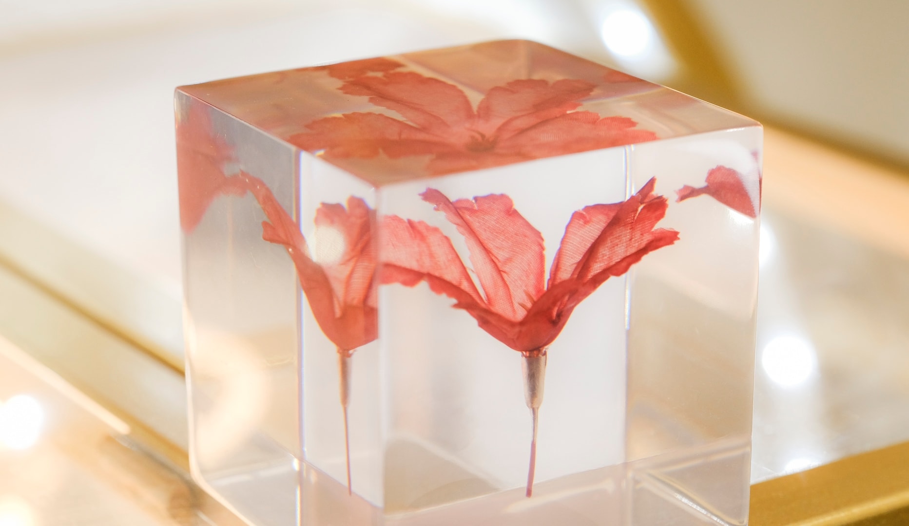 ½ Pris på Ansigtsbehandling