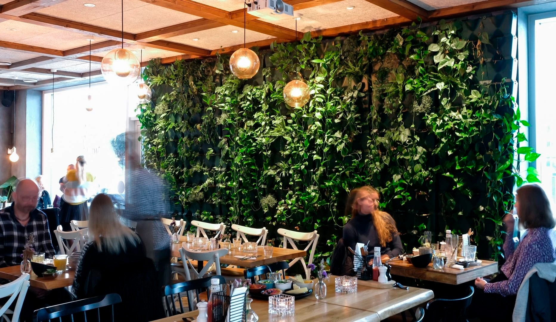 ½ pris: Nachos/Burger på Café Nöah