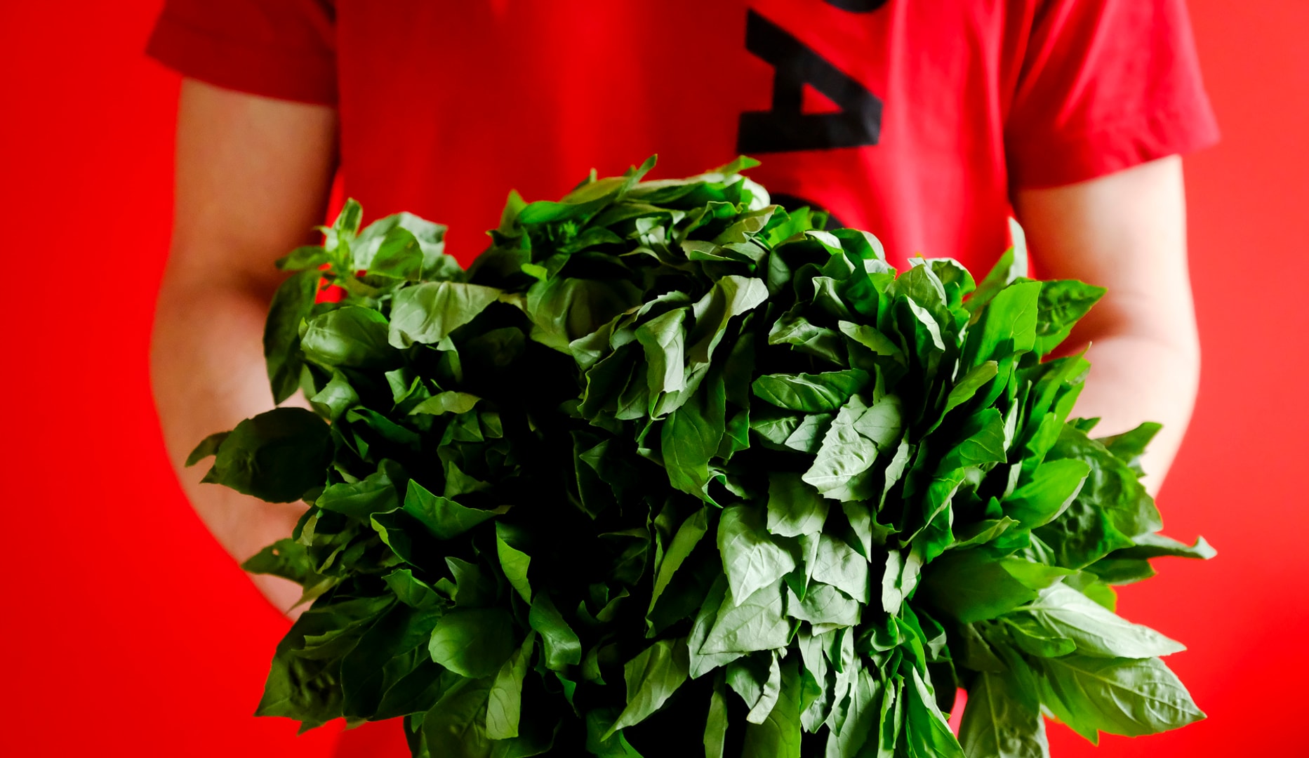 ½ PRIS: Valgfri Stor Pastacombo