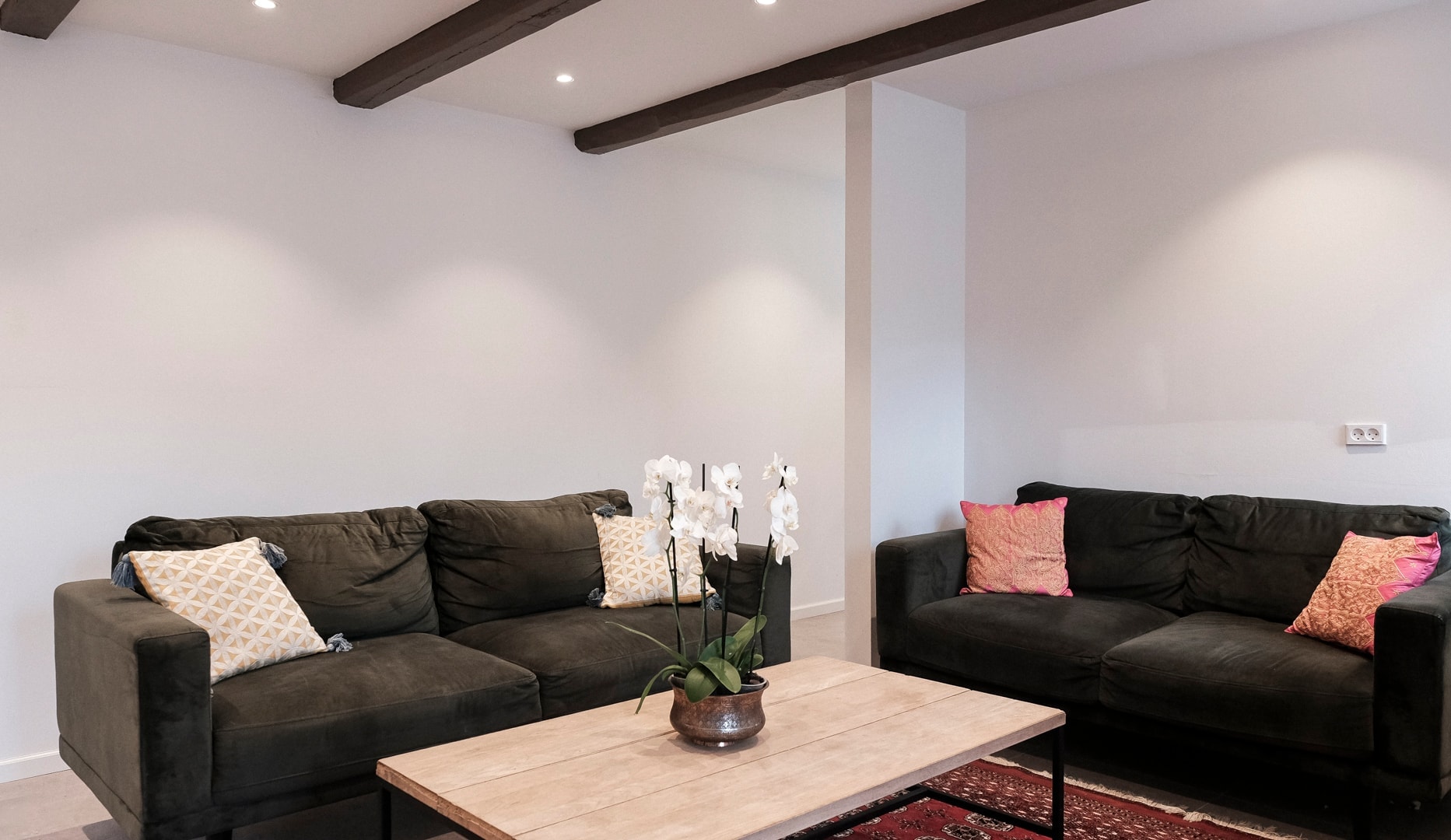 Professionelt Tandeftersyn