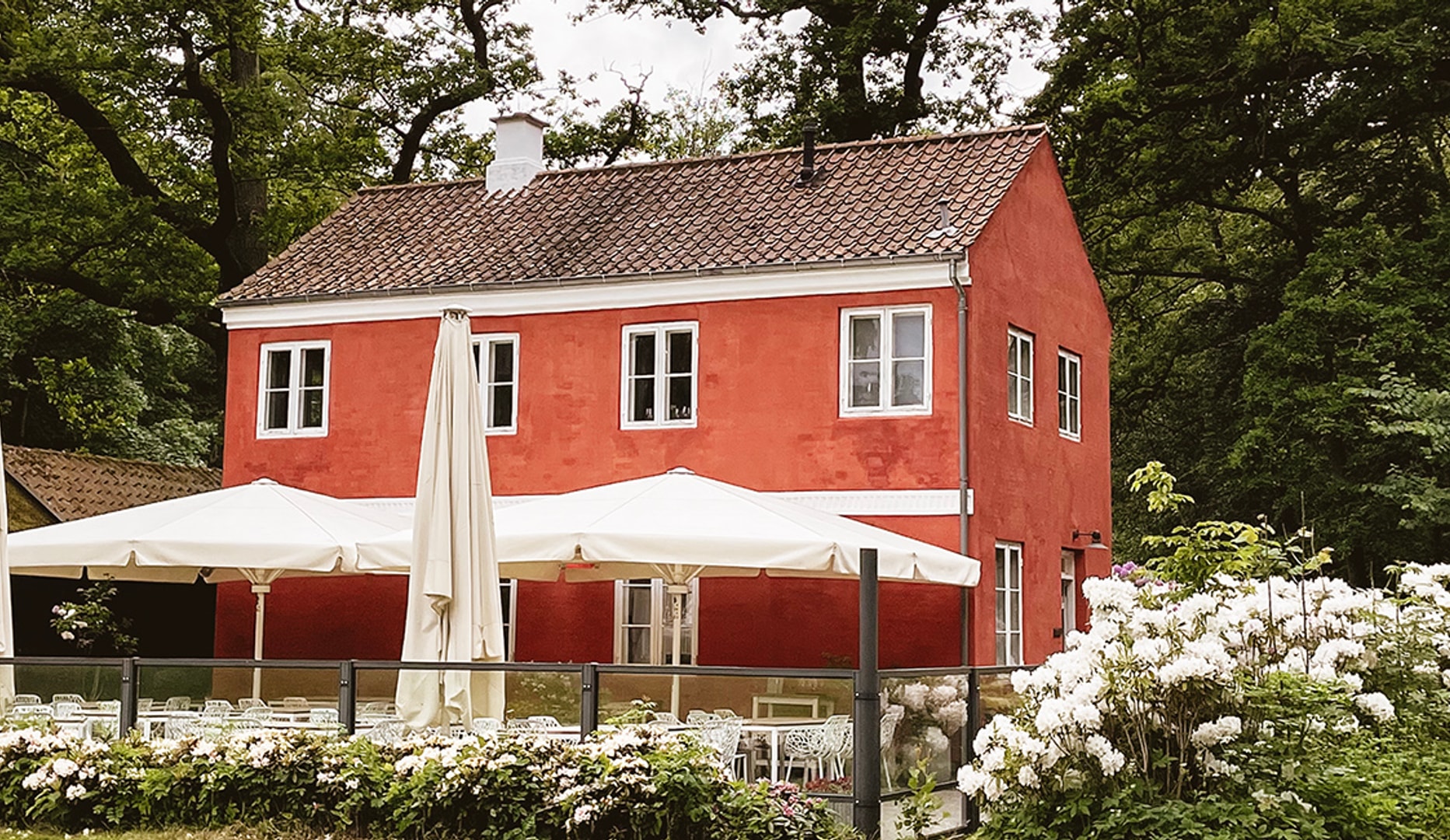 Åbningsfrokost på Den Røde Cottage - spar 140 kr | Spis i Byen