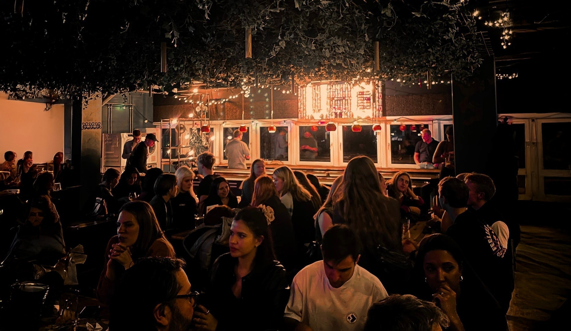 Shuffleboard + Valgfri Øl/Vin & Tapas selection