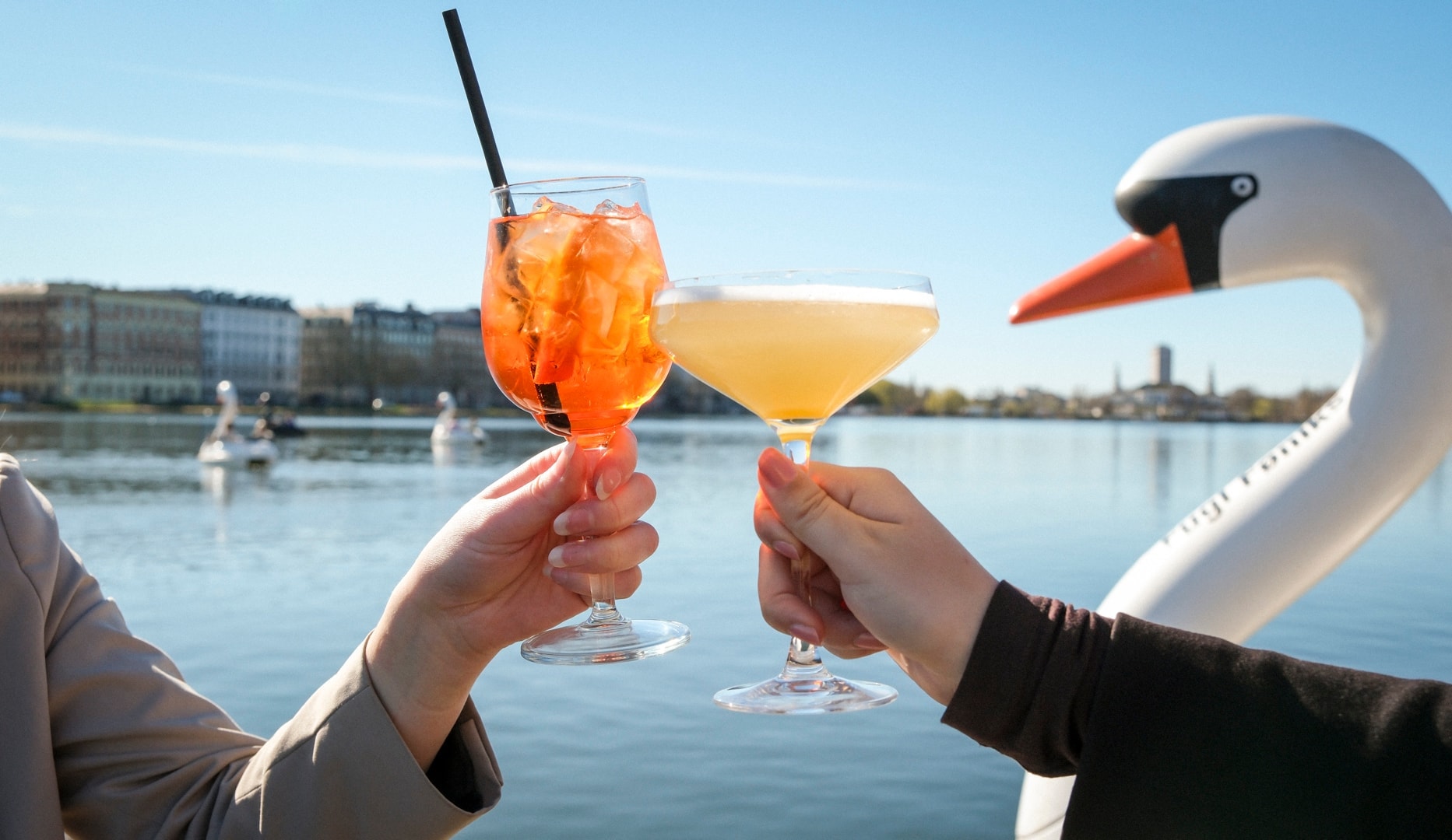 Nyd Sommervejret i en Svanebåd