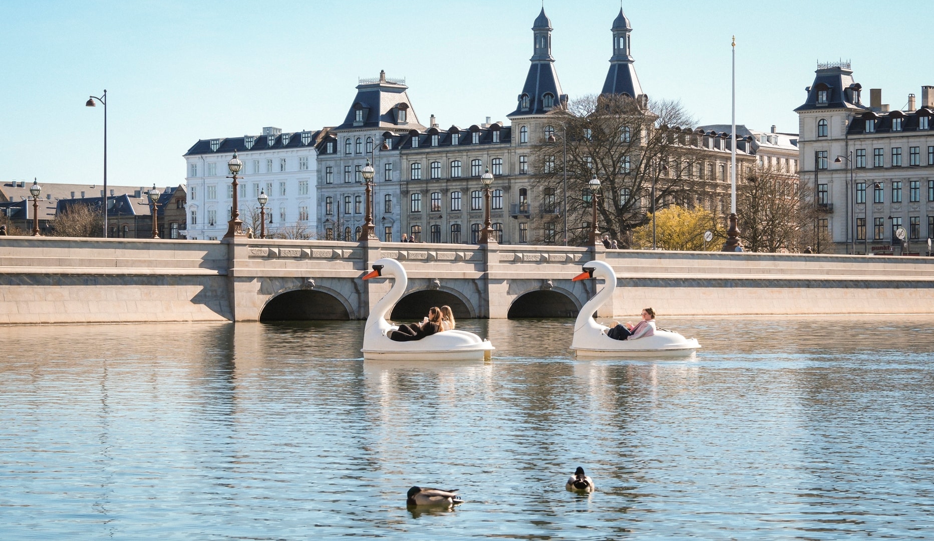 Nyd Sommervejret i en Svanebåd