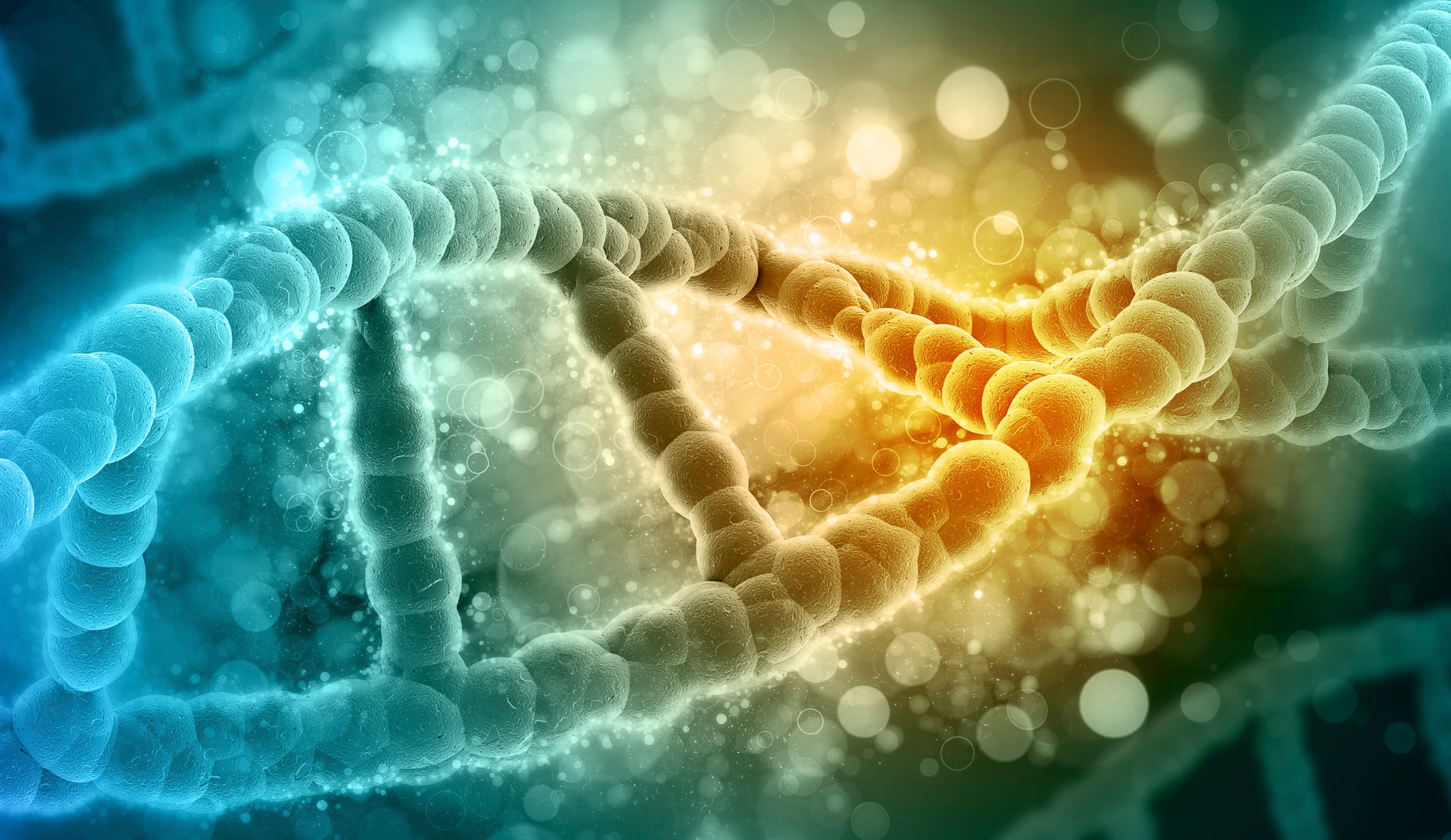 Longevity; Boost din energi og støt sund aldring med NAD+