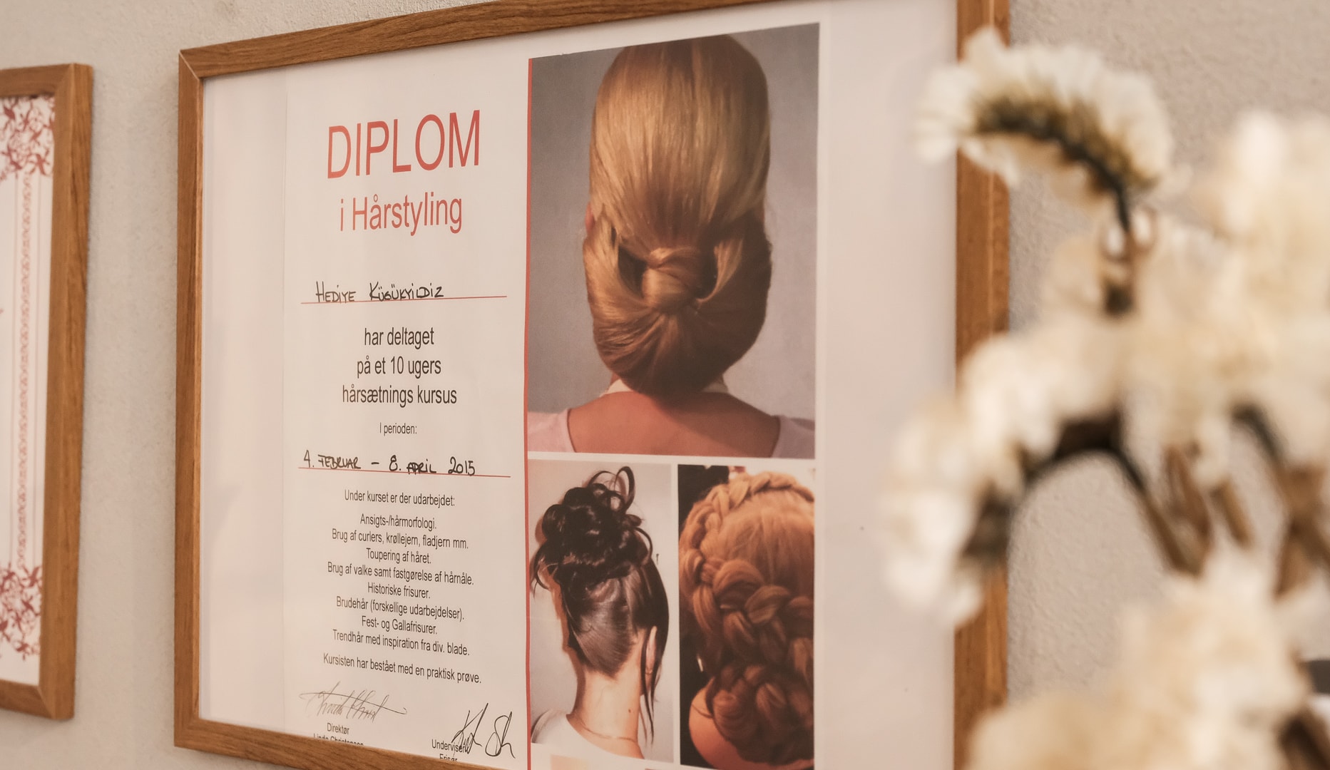 Klip, Striber & Reflekser - Studio Nova