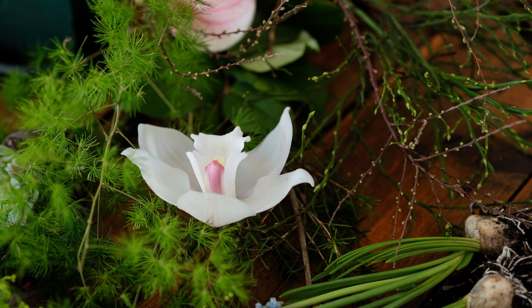 Forårs- og Sommerkurser hos Florie!