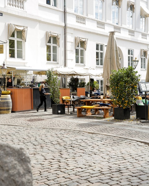 Valgfri Pitcher + Snacks hos Darling Bistro & Bar | Den Perfekte Sommerdeal