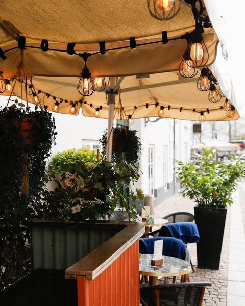Valgfri Pitcher + Snacks hos Darling Bistro & Bar | Den Perfekte Sommerdeal