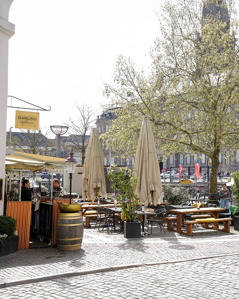 Valgfri Pitcher + Snacks hos Darling Bistro & Bar | Den Perfekte Sommerdeal