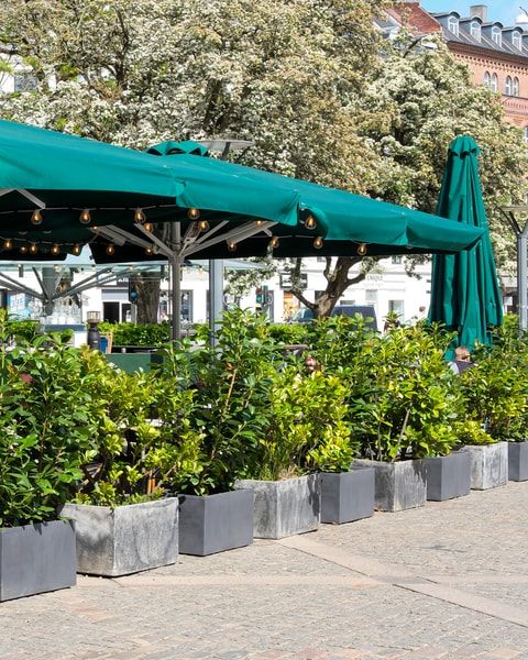 Frokostplatte hos Frederiksberg Rådhuskælder