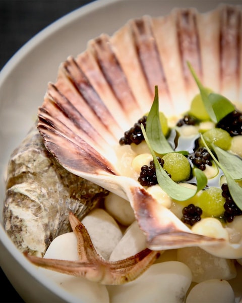 8 Serveringer hos Restaurant Rebel - Anbefalet i Michelin-guiden på 12. år